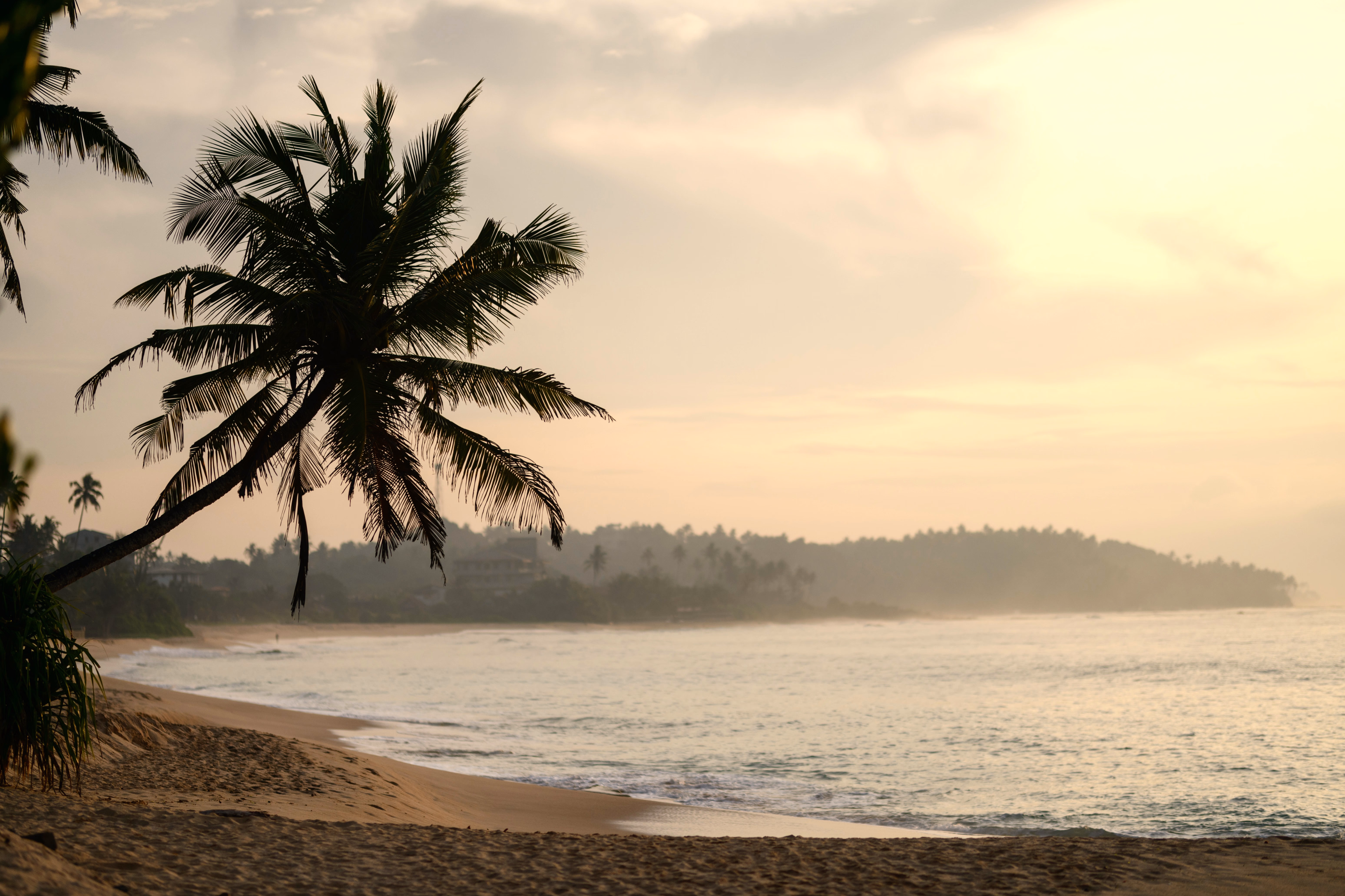 House 2 and surroundings 1