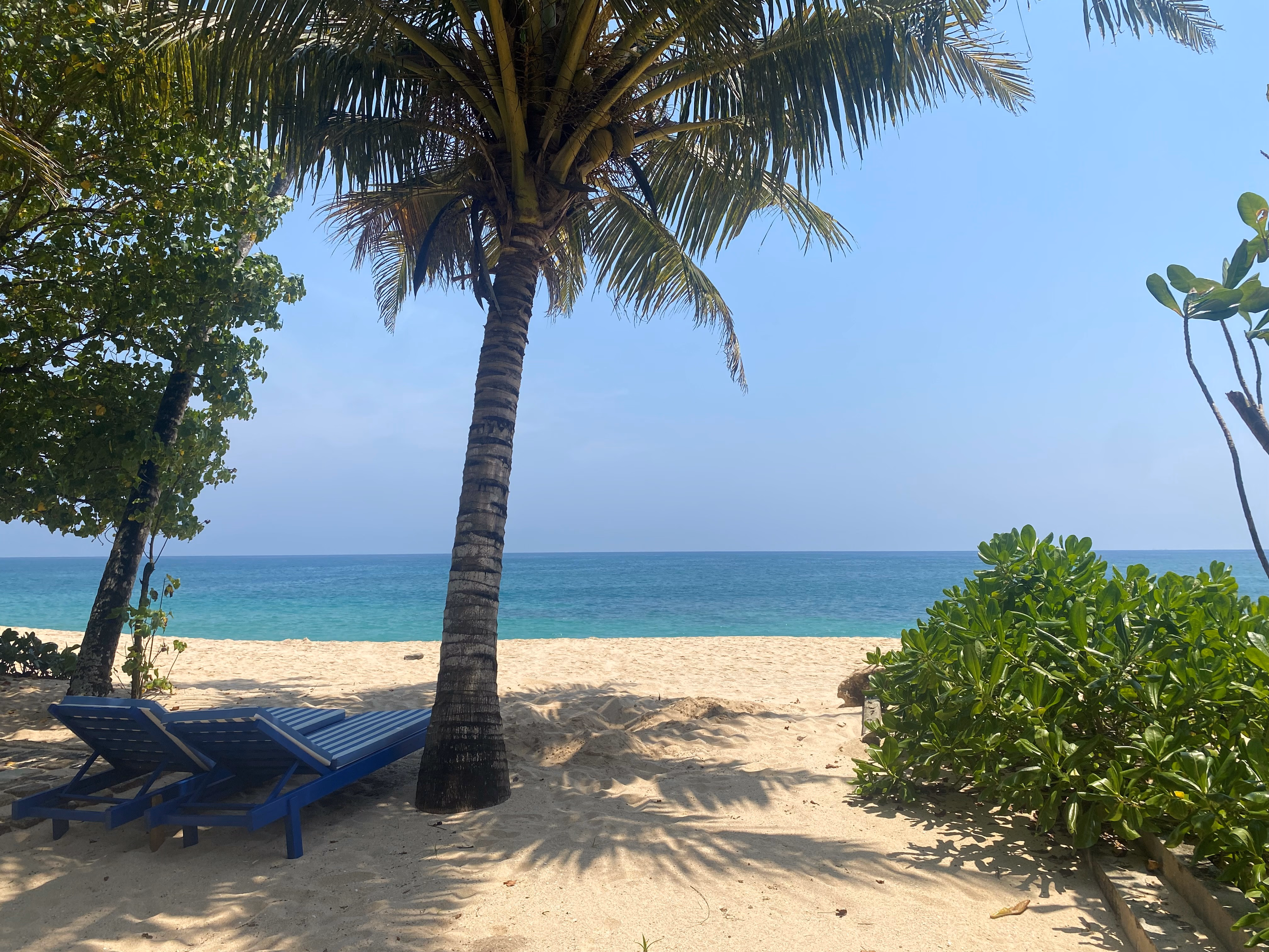 House 2 and surroundings 10